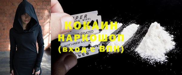 индика Армянск