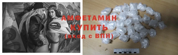 твердый Арсеньев