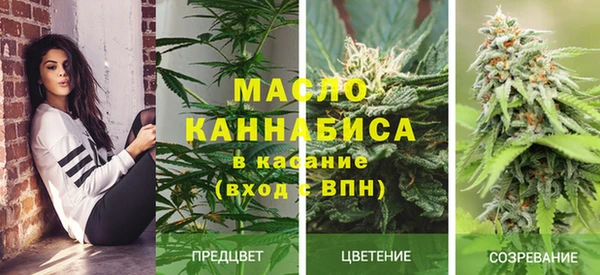 твердый Арсеньев