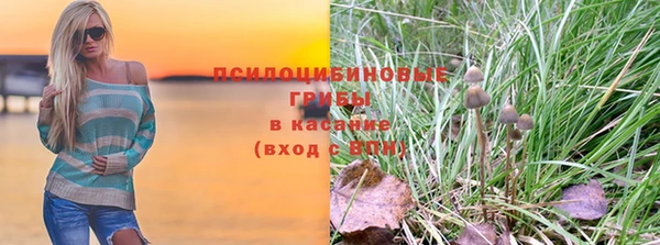 индика Армянск
