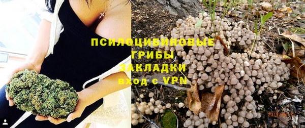 твердый Арсеньев
