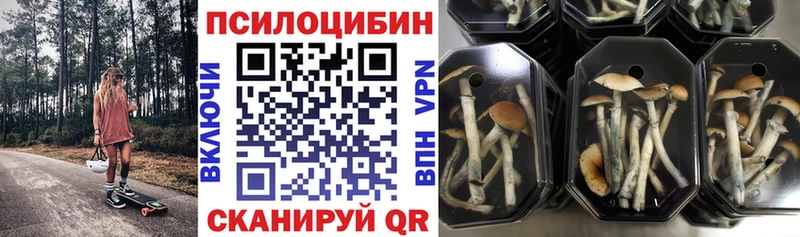 Галлюциногенные грибы MAGIC MUSHROOMS  Харовск 