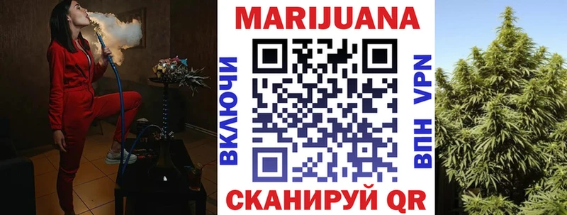 Бошки Шишки планчик  где купить наркоту  Харовск 